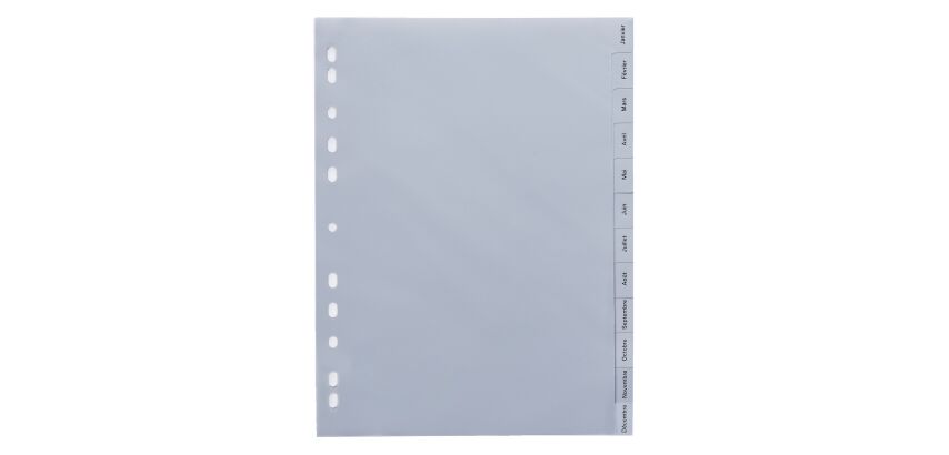 Set von 20 monatlichen Trennblättern in Polypropylen grau Maxiburo