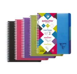 Spiral notebook Linicolor Evolutiv'book A5 16 x 21 cm, perforated, small squares 180 pages.