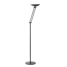 Richtbare LED-staanlamp