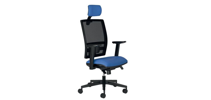 Pack chaise BRUNEAU ACTIV' mécanisme contact permanent + accoudoirs réglables + têtière