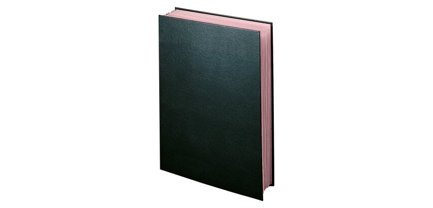 Briefmappe Extendos Eco 12 Fächer schwarz