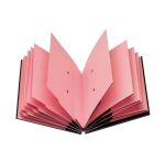 Parapheur Extendos simple clip 12 divisions couleur