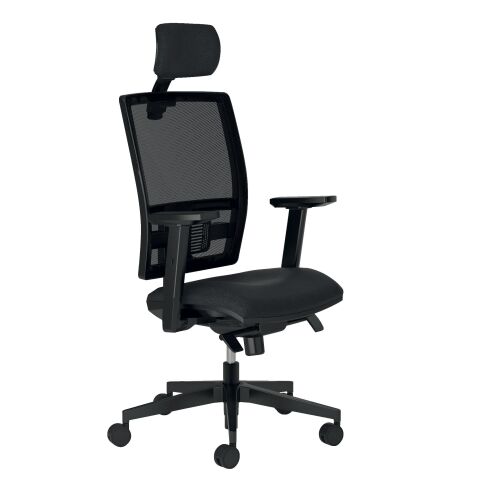 Pack stoel Activ + aanpasbare armsteunen + hoofdsteun