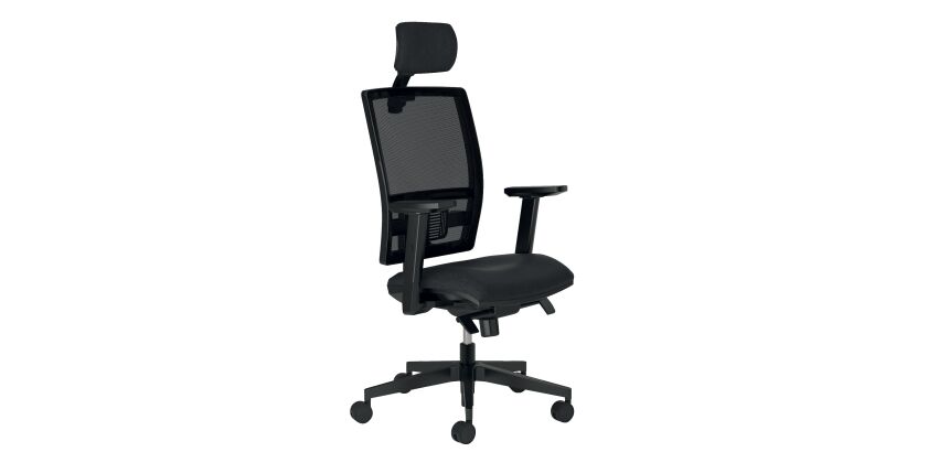 Pack chaise BRUNEAU ACTIV' mécanisme contact permanent + accoudoirs réglables + têtière