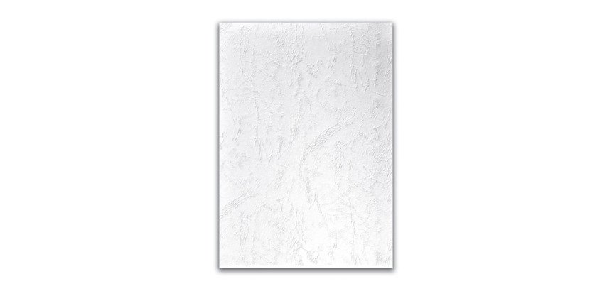 Pak 100 voorbladen 270 g Clairefontaine gekleurd