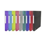 Boîte de classement plastique OXFORD Osmose dos 2,5 cm - couleurs opaques et translucides assorties