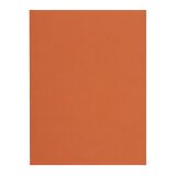 Recycled inner folders 80 g FLASH Exacompta 22 x 31 cm colours - pack of 100