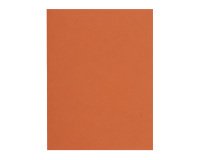 Recycled inner folders 80 g FLASH Exacompta 22 x 31 cm colours - pack of 100