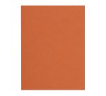 Gerecycleerde binnenmappen 80 g FLASH Exacompta 22 x 31 kleuren - pak van 100