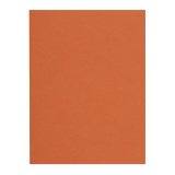 Recycelte Innenmappen 80 g FLASH Exacompta 22 x 31 cm orange - Pack mit 100