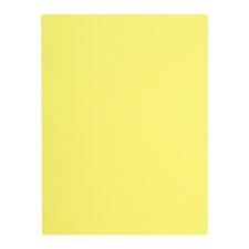 Recycled inner folders 80 g FLASH Exacompta 22 x 31 cm colours - pack of 100