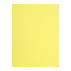 Recycled inner folders 80 g FLASH Exacompta 22 x 31 cm colours - pack of 100
