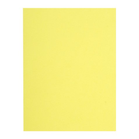 Recycled inner folders 80 g FLASH Exacompta 22 x 31 cm colours - pack of 100