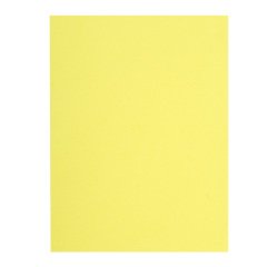 Recycled inner folders 80 g FLASH Exacompta 22 x 31 cm colours - pack of 100