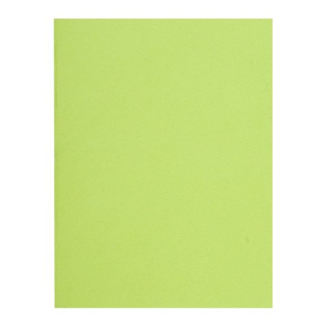 Recycled inner folders 80 g FLASH Exacompta 22 x 31 cm colours - pack of 100