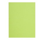 Recycled inner folders 80 g FLASH Exacompta 22 x 31 cm colours - pack of 100