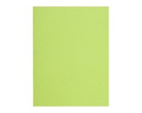 Gerecycleerde binnenmappen 80 g FLASH Exacompta 22 x 31 kleuren - pak van 100