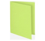Recycled inner folders 80 g FLASH Exacompta 22 x 31 cm colours - pack of 100