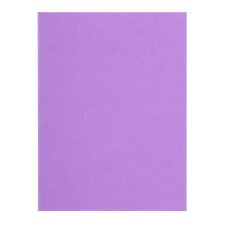 Recycled inner folders 80 g FLASH Exacompta 22 x 31 cm colours - pack of 100