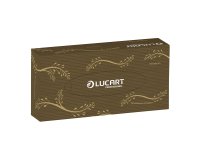 Pañuelos doble capa Lucart EcoNatural - caja de 100