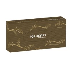 Pañuelos doble capa Lucart EcoNatural - caja de 100