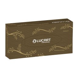 Handkerchiefs double thickness Lucart Econatural - box of 100