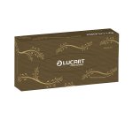 Mouchoirs double épaisseur Lucart EcoNatural - Boîte de 100