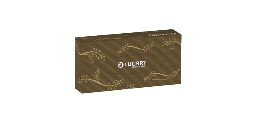 Mouchoirs double épaisseur Lucart EcoNatural - Boîte de 100