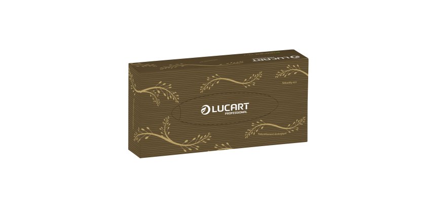 Mouchoirs double épaisseur Lucart EcoNatural - Boîte de 100