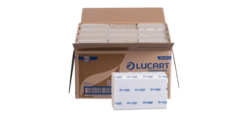 Paper handkerchiefs Lucart Econatural intertwined - box of 3000