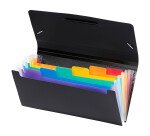 Trieur plastique format chèque 6 onglets Rainbow Viquel