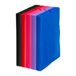 Chemise box polypropylène personnalisable 24 x 32 cm dos 3 cm couleurs assorties
