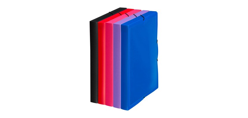 Chemise box polypropylène personnalisable 24 x 32 cm dos 3 cm couleurs assorties