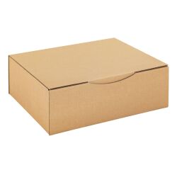 Caja postal kraft natural canal simple Alt. 10 x An 24 x Fon. 30 cm