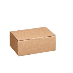 Boîte postale kraft brun simple cannelure H 10 x L 15 x P 25 cm