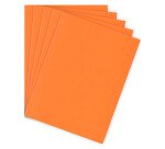 Standard folder 210 g Bruneau 24 x 32 cm color - pack of 100