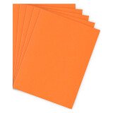 Standard file folder 210 g Bruneau 24 x 32 cm orange - Pack of 100