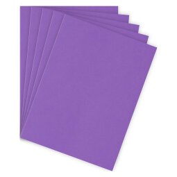 Standard folder 210 g Bruneau 24 x 32 cm color - pack of 100