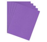 Standard folder 210 g Bruneau 24 x 32 cm color - pack of 100