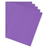 Chemise standard 210 g Bruneau 24 x 32 cm violette - Paquet de 100