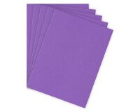 Chemise standard 210 g Bruneau 24 x 32 cm violette - Paquet de 100