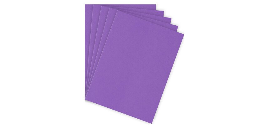 Chemise standard 210 g Bruneau 24 x 32 cm couleur - Paquet de 100