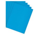 Subcarpetas de cartulina 210 g A4 Bruneau Paquete de 100