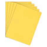 Standard file folder 210 g Bruneau 24 x 32 cm yellow - Pack of 100