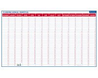 Planning perpétuel annuel - effaçable à sec - 60 x 99 cm