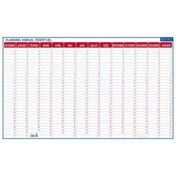 Planning perpétuel annuel - effaçable à sec - 60 x 99 cm