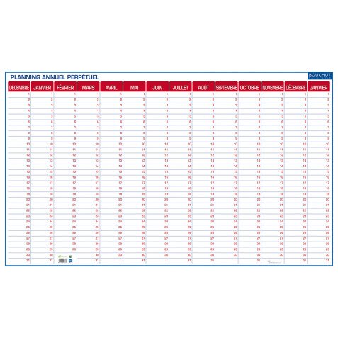 Planning perpétuel annuel - effaçable à sec - 60 x 99 cm