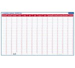 Planning perpétuel annuel - Effaçable à sec - 60 x 99 cm