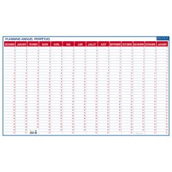 Planning perpétuel annuel - effaçable à sec - 60 x 99 cm