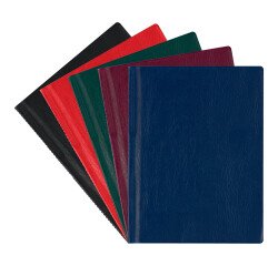 Protège-documents Bruneau PVC opaque A4 10 pochettes - 20 vues noir